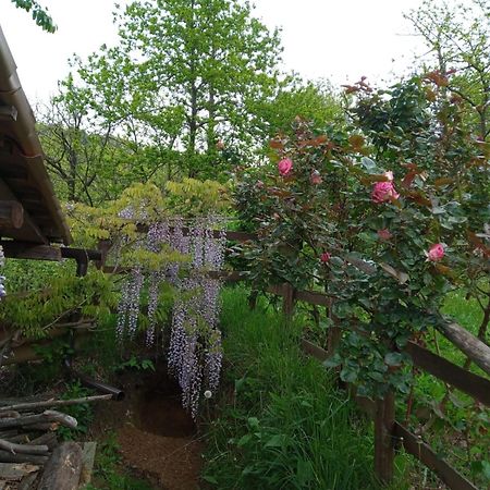 Ca' De L'Ase Bed & Breakfast Pontinvrea Dış mekan fotoğraf