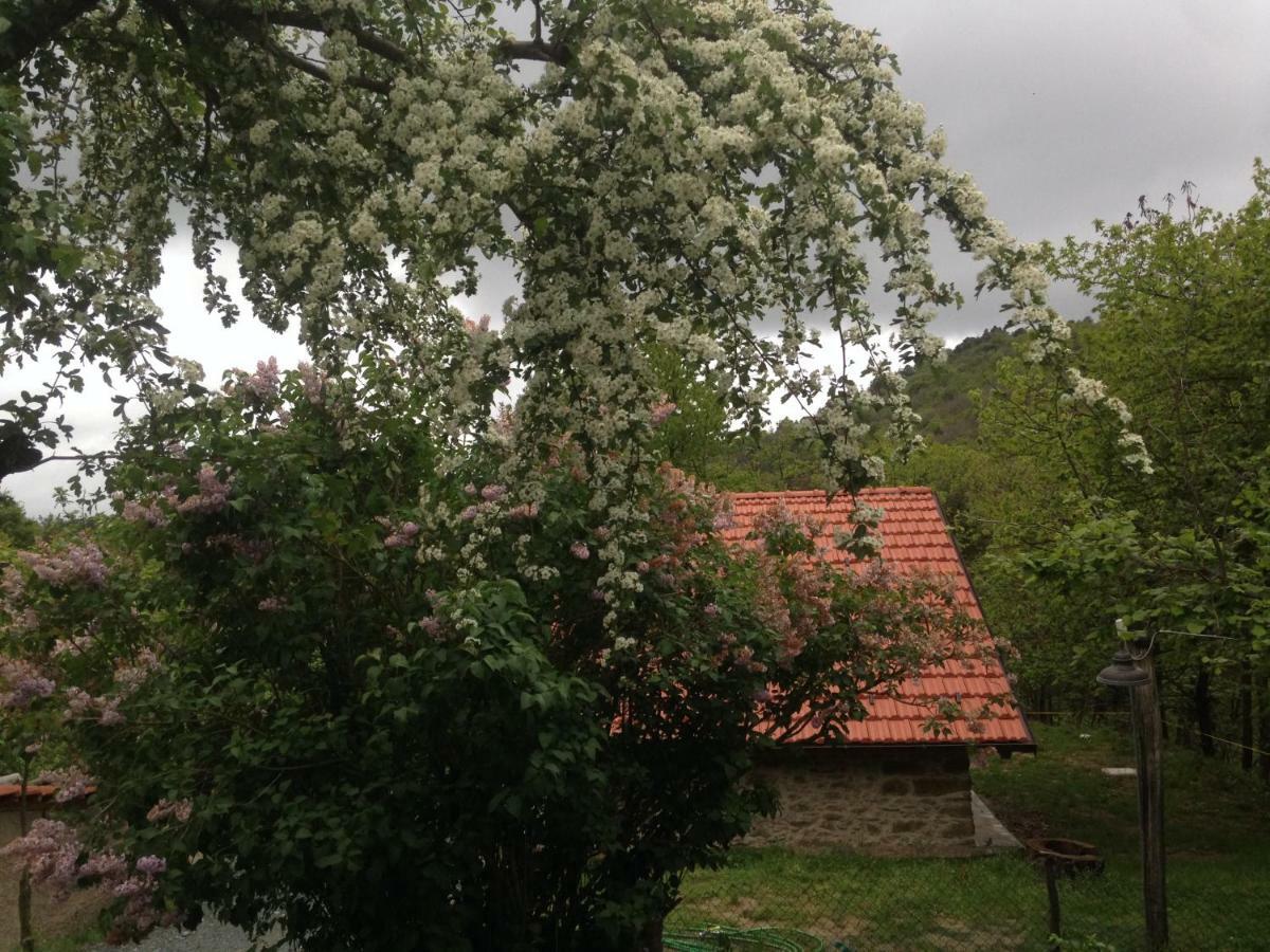 Ca' De L'Ase Bed & Breakfast Pontinvrea Dış mekan fotoğraf